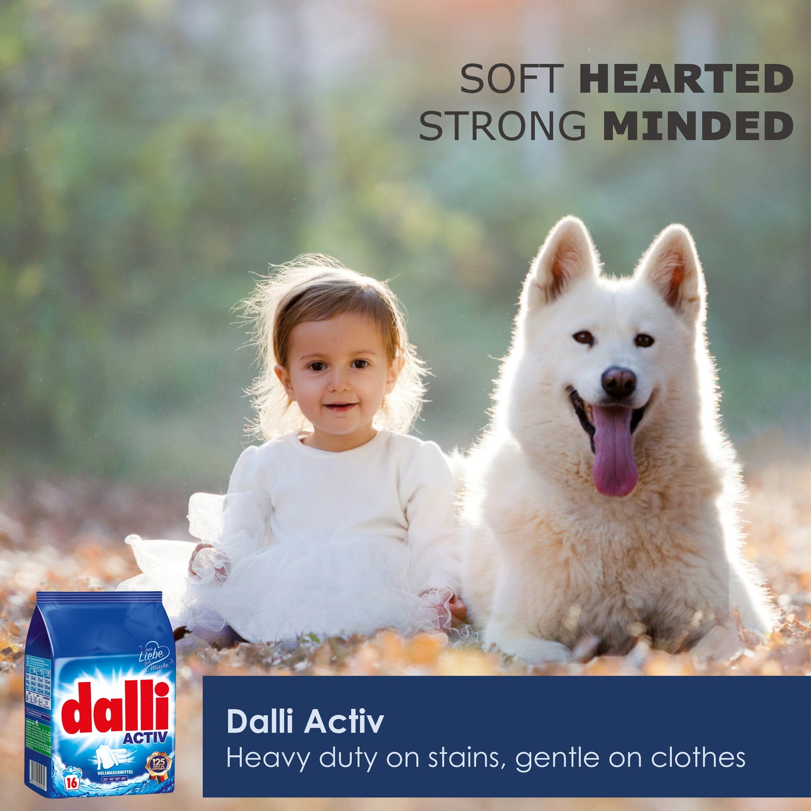Dalli Activ Heavy Duty on Stains, Gentle on Clothes